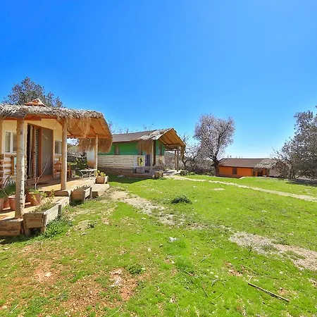 Mektephan Kaş