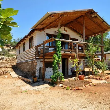 Mektephan * Kas