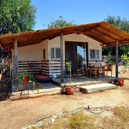 Mektephan Camping *