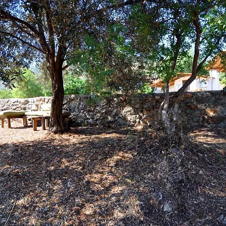 Mektephan Campsite Kas