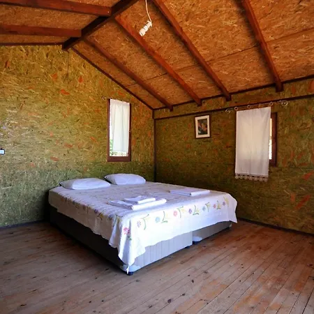 Camping Mektephan *