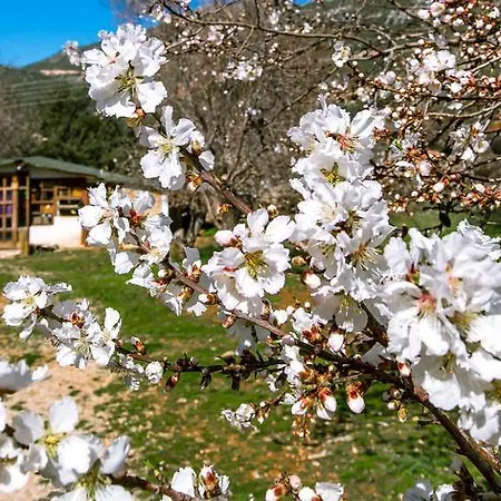 Kemping Mektephan